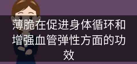 薄脆在促进身体循环和增强血管弹性方面的功效